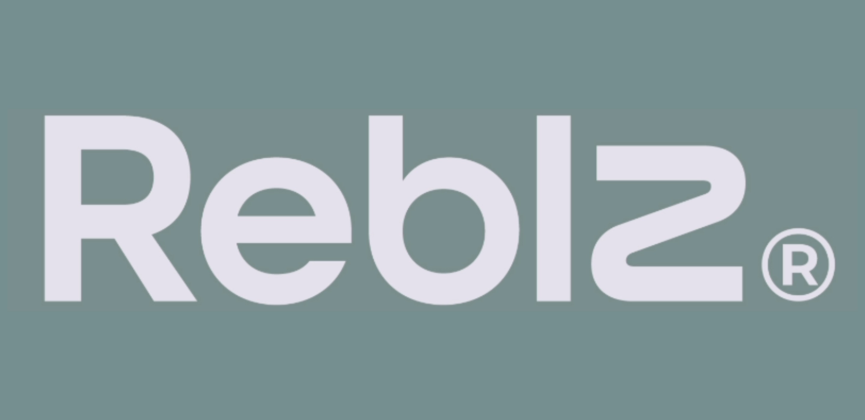 Reblz Logo - Workwear und Promotionsbekleidung für B2B